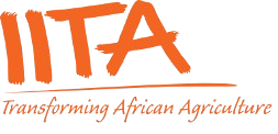 IITA